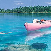 Kayak Tours