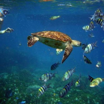 So Many Islands - So Many Snorkeling Locations!