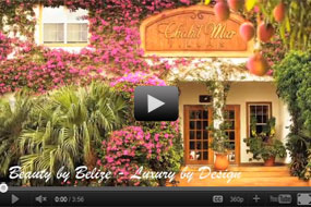 click here to watch video
