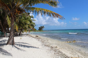 North View Laughing Bird Caye
