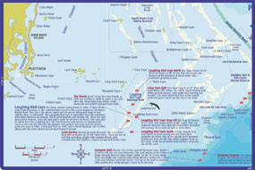 Placencia Reef