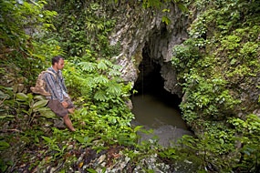explore the jungle and rainforest 