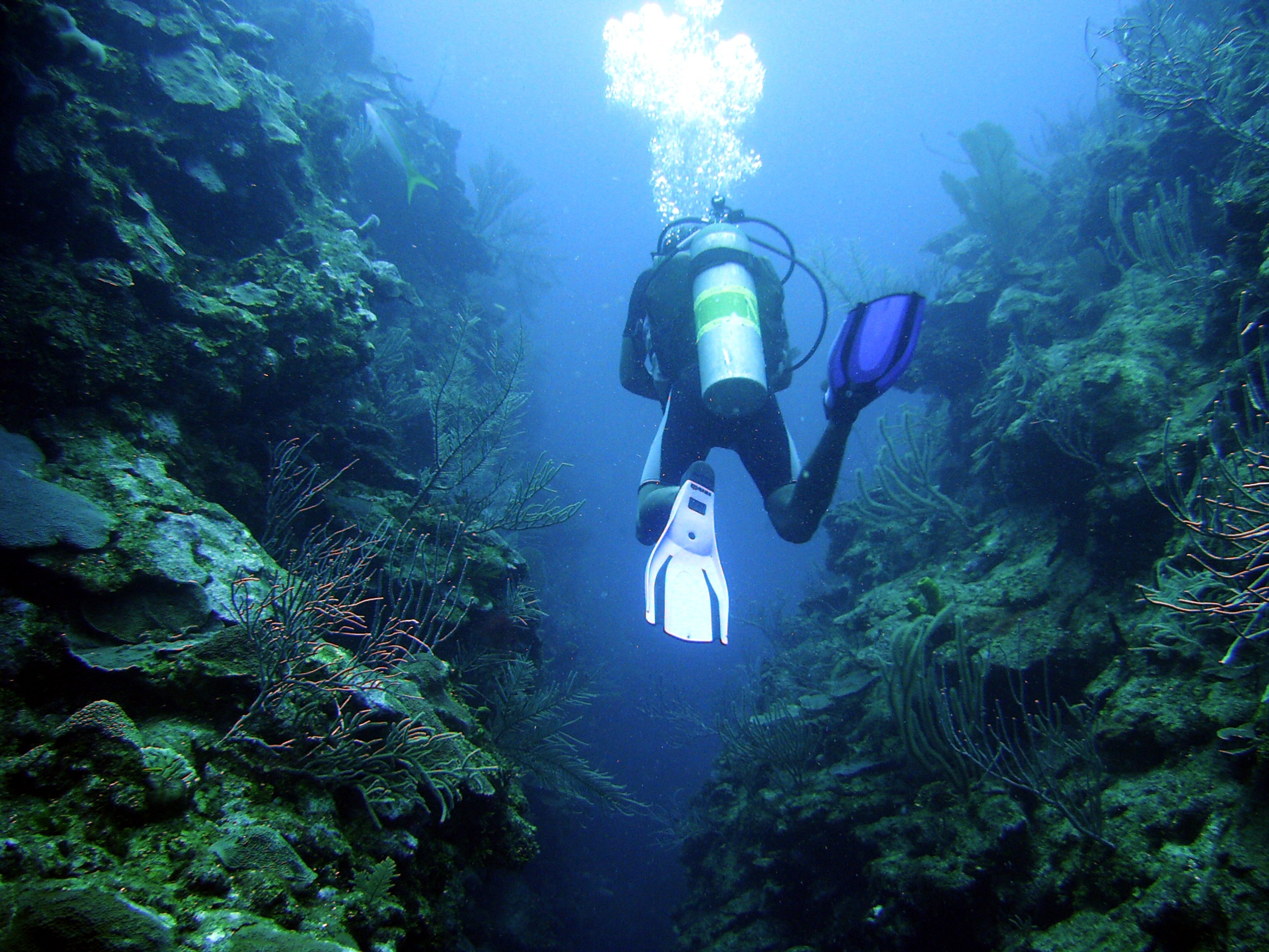 Difference Between Belize Atolls And Belize Coral Reefs