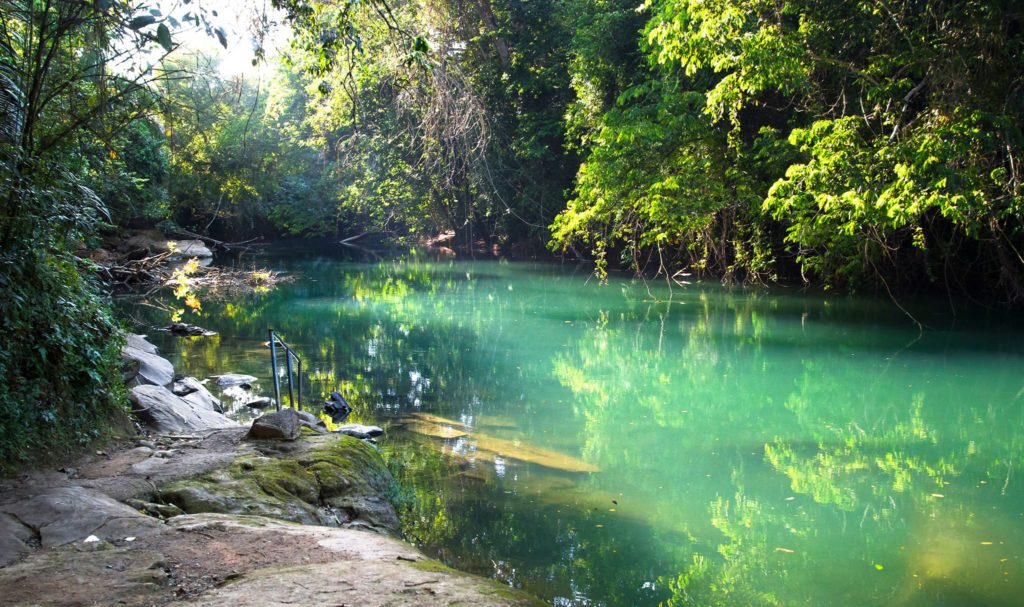 Exploring the Natural Beauty of Toledo District